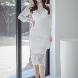 Sheer Lace Fitted Dress