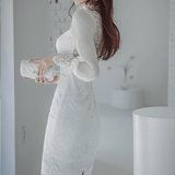 Sheer Lace Fitted Dress
