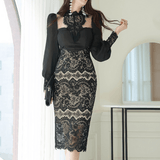 Sheer Lace Fitted Dress