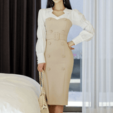 Lantern Sleeve Double-Breasted Dress