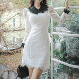 White Lace Contrast Dress