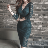 Elegant Lace Pencil Dress