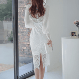 Sheer Lace Fitted Dress