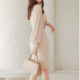 Lantern Sleeve Dress with Long Scarf Tie