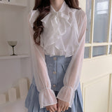 Frill and Ruffle Chiffon Blouse